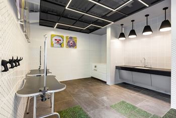 Pet care center